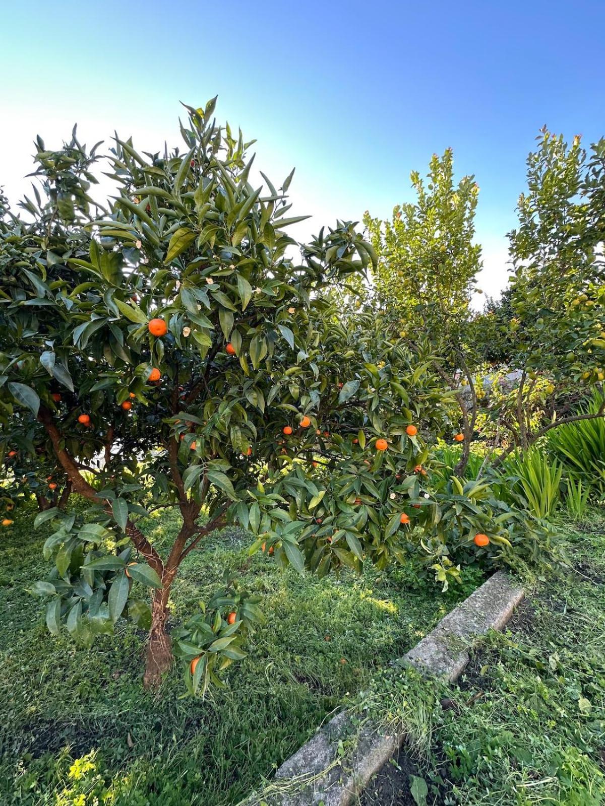 In Portugal Villa *